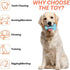 Hammer MiOYOOW Dog Chew Toys, Shaped Dog Toys Puppy Dog Teething Toys for Small Dogs Teeth Dental Oral Care