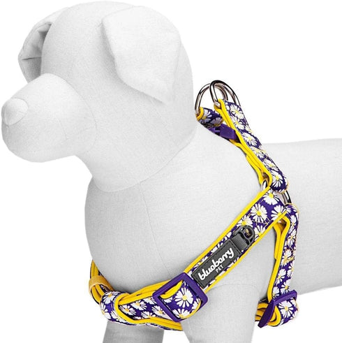 Blueberry Pet 2 Patterns Soft & Comfy Step-in Dog Harness, Chest Girth 20" - 26", Medium