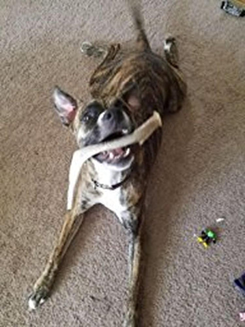 XL Deer Antler Dog Chew - Jumbo, Extra Large for Large Dogs and Aggressive Chewers