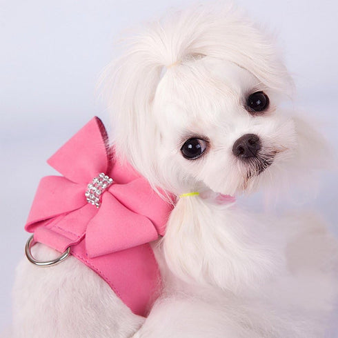 Zunea Pet Dog Vest Harness for Small Dog - Bow Tie No Pull Soft Suede Leather Puppy Harness Leash Set, Pink S