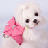 Zunea No Pull Pet Dog Vest Harness for Small Dog Girl, Adjustable Soft Suede Leather with Leash Set