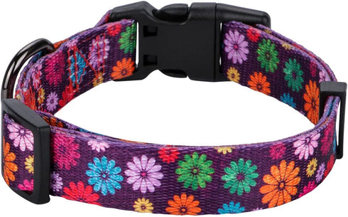 Rhea Rose Girl Dog Collars, Fall Daisy Pattern Colorful Flowers Print for Female Dogs (Dark Purple, Large)