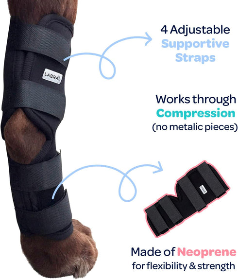 Labra Dog Extra Supportive Compression Wrap for Canine Rear Leg Hock Joint, Recovery, Protection, Ankle Brace