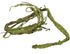 emours Flexible Realistic Jungle Vines Pet Habitat Decor - 3.6ft Long for Lizard, Frogs, Snakes, Chameleons, and More