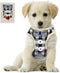 Small Puppy Harness with Bowtie, Adjustable Mesh Tuxedo Vest for Small Dog Kitten, Perfect for Party Wedding Holiday