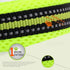 Creation Core Reflective Mesh Padded Dog Collar Adjustable Nylon Outdoor Adventure Pet Collar, Green M
