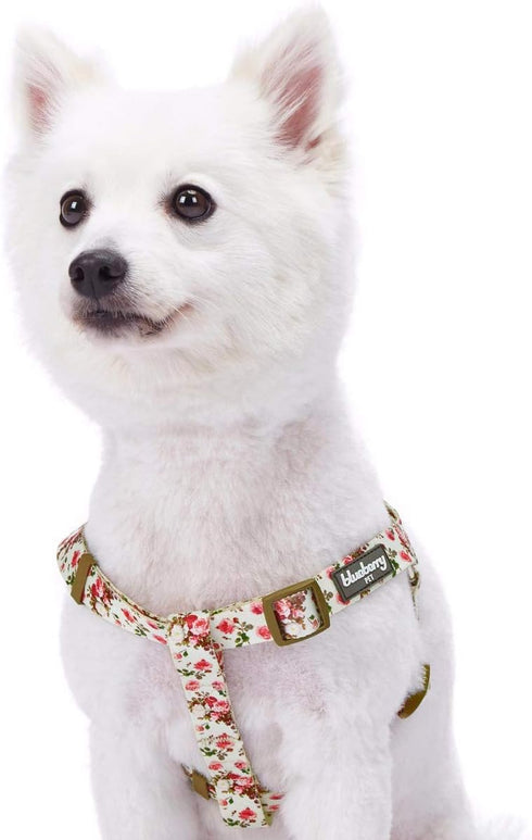 Blueberry Pet 9 Patterns Step-in Spring Scent Inspired Pink Rose Print Ivory Dog Harness, Adjustable for Chest Girth