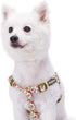Blueberry Pet 9 Patterns Step-in Spring Scent Inspired Pink Rose Print Ivory Dog Harness, Adjustable for Chest Girth