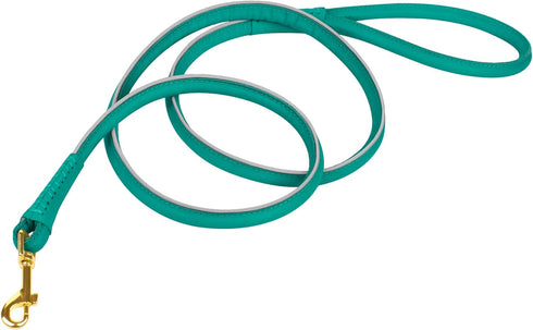 OOOPSDOGGY 6ft Reflective Rolled Leather Dog Leash - Soft Lead for Small Medium Large Dogs, Heavy Duty Rope (Teal,