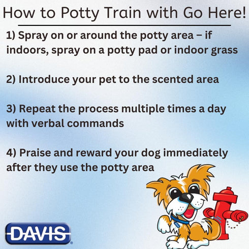 Davis Go Here Potty Training Aid, 22 oz