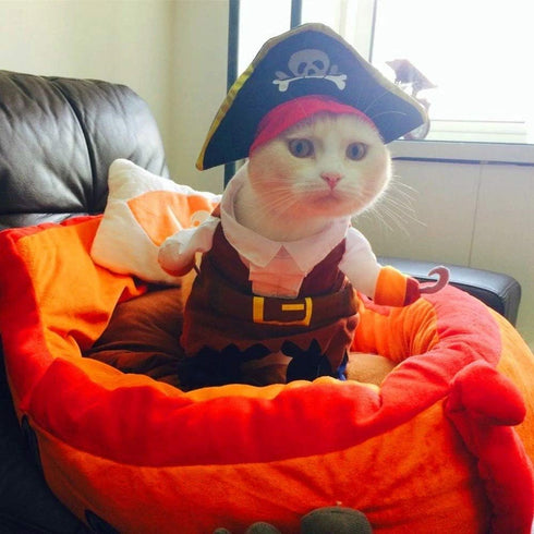 Idepet New Funny Pet Clothes, Pirate Dog Cat Costume Suit, Medium, Corsair Dressing Up Party Apparel with Hat