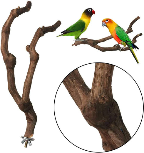 PINVNBY Natural Parrot Perch Bird Stand Pole, 2PCS Wild Grape Stick for Small Lovebirds Budgies Cockatiels