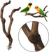 PINVNBY Natural Parrot Perch Bird Stand Pole, 2PCS Wild Grape Stick for Small Lovebirds Budgies Cockatiels