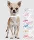 Adjustable Dazzling Sparkling Leather Bling Dog Collar, Crystal Diamond Dog Collar for Small Dogs, Rhinestone Cat