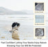 Hammock Formosa Covers PAWPALS Dog Car Seat Cover for Pets Water Repellent Mesh Window Nonslip Durable Anti-Scratch Pet