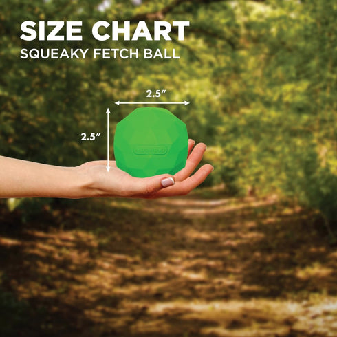 Hound2O Squeaky Fetch Ball Dog Chew Toys, Green - Tough, Engaging, Interactive Toys for All Breeds, Durable Non-Toxic
