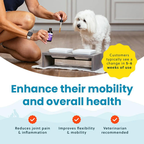 Liquid Glucosamine for Small Dogs, 260mg Joint Supplement for Mobility & Comfort, Easy-to-Use Liquid MSM & Chondroitin,