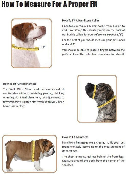 Hamilton Adjustable Comfort Nylon Dog Harness, Mango Orange, 3/8" x 10-16"