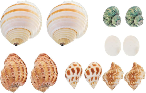 12pcs Aquarium Natural Conch Shells Set Hermit Crab Replacement Shells Fish Tank