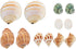 12pcs Aquarium Natural Conch Shells Set Hermit Crab Replacement Shells Fish Tank
