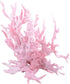 Mallofusa Artificial Aquarium Plant Ornament, Plastic Coral Reef Fish Tank Decoration Pink