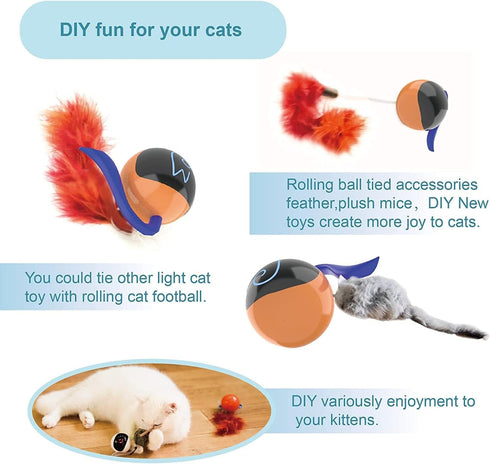 Migipaws Interactive Cat Ball Toy Set, Automatic Rolling Chase Ball with Fluffy Tail, Rechargeable (Orange)