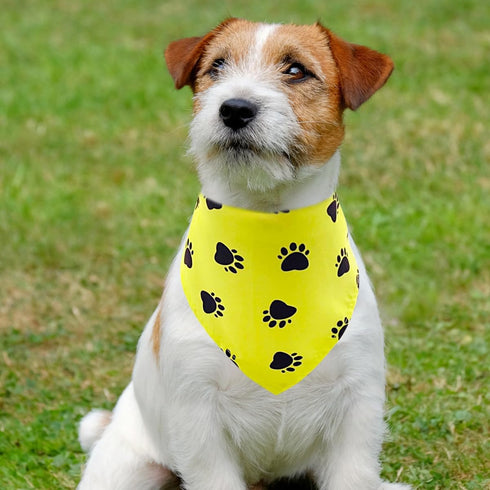 50Pcs PET SHOW Paw Pattern Dog Bandanas Bulk Washable Puppy Girl Boy Triangle Bibs Accessories for Small Medium Dogs