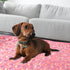 Upgraded Dog Blankets for Large Dogs, Washable 40" x 50", Soft Pet Mat Throw Cover for Kennel Crate Bed, Cute Paw