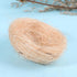 12pcs Hemoton Faux Bird Nest Decorative Ornaments for Crafts Landscape Photography Props Lightweight Rustic Style