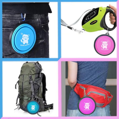 Collapsible Dog Bowl 2 Pack - Portable Silicone Pet Bowl with Carabiner for Small and Medium Dogs