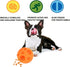 Dog Toy Balls, 5 Inch Treat Dispenser, Interactive Chew Toy for Food Dispensing, Ball for Large Medium Dogs (Orange)