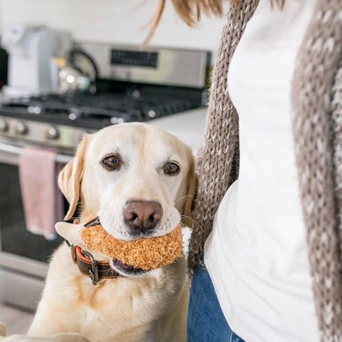 P.L.A.Y. Cute Plush Dog Toys - Fast Food Themed Durable Giggle Chew Toy, Great for Puppies & Small, Medium, Large Dog