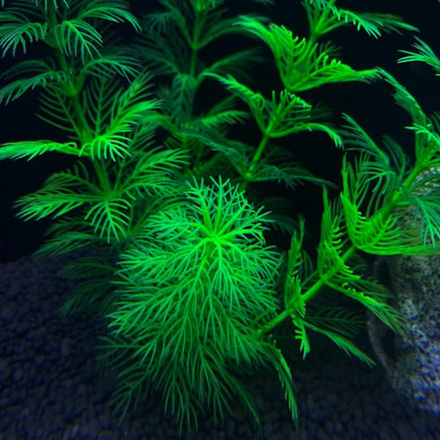 Artificial Aquarium Plants, 10PCS Realistic Plastic Fake Plants for Fish Tank Decoration
