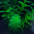 Artificial Aquarium Plants, 10PCS Realistic Plastic Fake Plants for Fish Tank Decoration