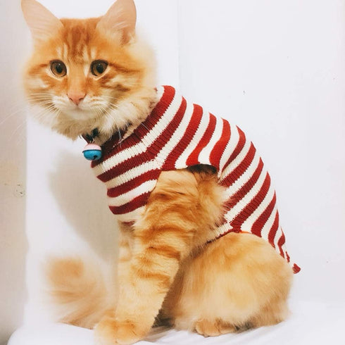 Cat Sweater Christmas Santa Claus Winter Knitwear for Pet Cat, Warm Clothes X-Small