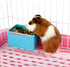 Cage Feeder Food & Water Hay Bowl Dish Bin for Small Animals, Yellow, for Rabbit, Guinea Pig, Chinchilla, Hamster,