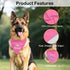ZBBFSCSB I'm Going to Be A Big Sister Pink Dog Bandana, Pregnancy Announcement Gender Reveal Birthday Party Photoshoot