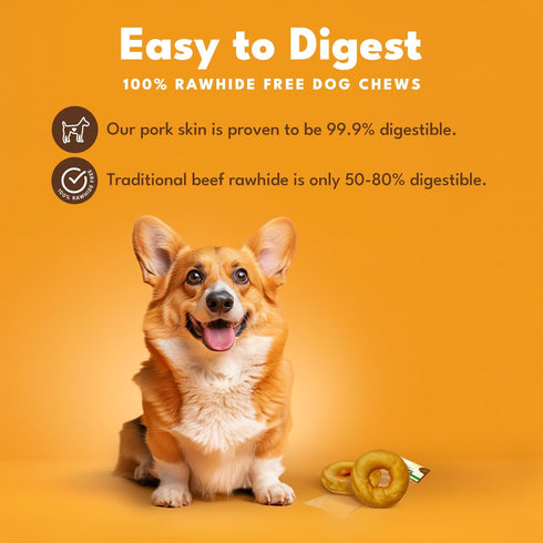 3 Inch 2 Count, Pack 2 Pork Chomps Roasted Pork Skin Dog Chews, Donuts, Real Chicken, of - Long-Lasting Treats for Dogs