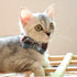 Cat Collar Breakaway with Bell and Bow Tie - Set of 2 PCS Adjustable Safety Plaid Design Collars (Green & Light Blue