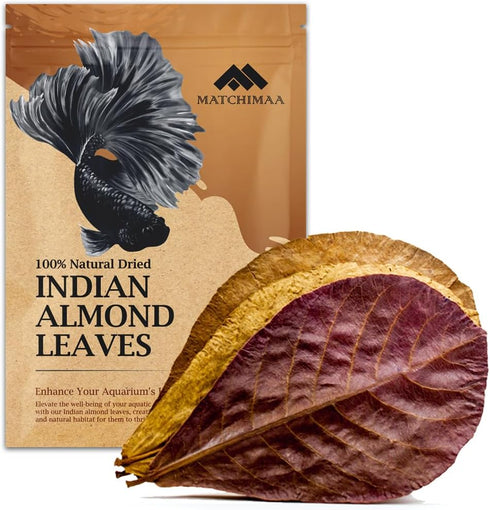 Premium Indian Almond Leaves, Aquarium Decorations, 50g Pack (20-25 Leaves), Rich in Tannin for Shrimp & Betta