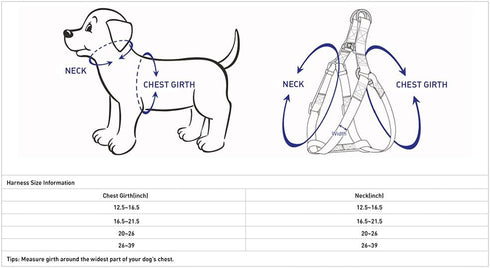Blueberry Pet Essentials 2 Patterns Step-in Ladybug Designer Dog Harness, Chest Girth 16.5" - 21.5", Small