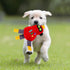 Interactive Robot Squeaky Plush Toy for Small to Medium Dogs