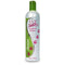 Pet Silk Rainforest Clean Scent Shampoo, 16oz, Long-Lasting Fragrance for Dogs & Cats, Gentle & Safe
