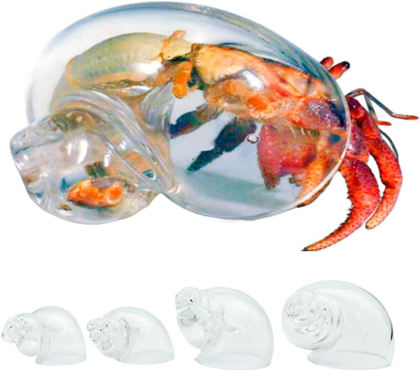 BETENSH Large Hermit Crab Transparent Shells Size 2.0"- 3.0", Opening Size 0.8"- 1.6",