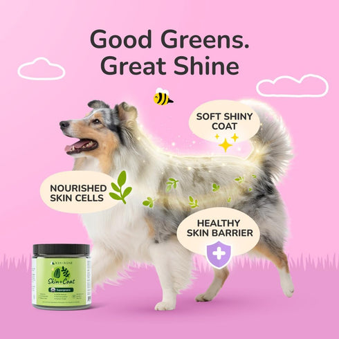 4oz kin+kind Skin and Coat Supplement for Dogs & Cats Natural Vitamin Supplements with Organic Ingredients for Shiny
