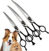 Fenice 8.0 inch Dog Grooming Curved Scissors - Jeweled Screw, Japan 440C Stainless Steel, Sharp Blade for Right Handed