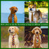 30pcs Large Dog Ties - Adjustable Neck Ties for Medium Large Dogs, Grooming Ties for Daily Wear