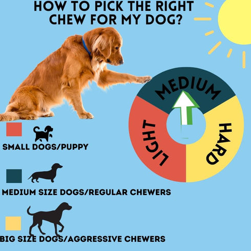 6 Inch (10 Count) BULLYSTICKS & MORE Beef Cheek Springs for Dogs - Bully Springs Dog Chews - No Hide Bones