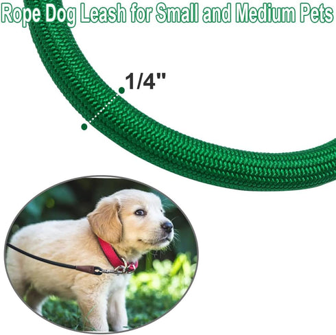 Small Dog Leash, Lightweight Strong Nylon Rope Leash, 1/4" by 6/8/10 FT, Bright Classic Leash for Small Pets/Puppy/Cat