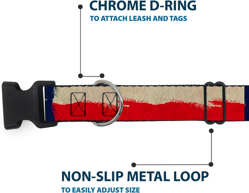 Buckle-Down Plastic Clip Collar - Texas Flag CLOSE-UP Distressed Painting - 1" Wide, Fits 15-24" Neck